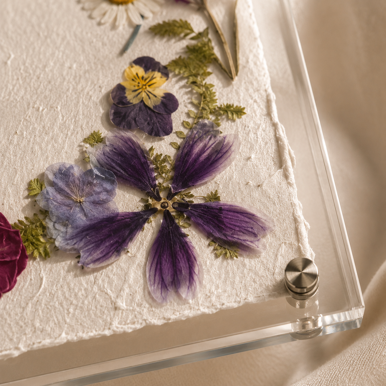 Macro close-up detail of real pressed purple pansy violet blue larkspur white daisy and green fern botanical arrangement