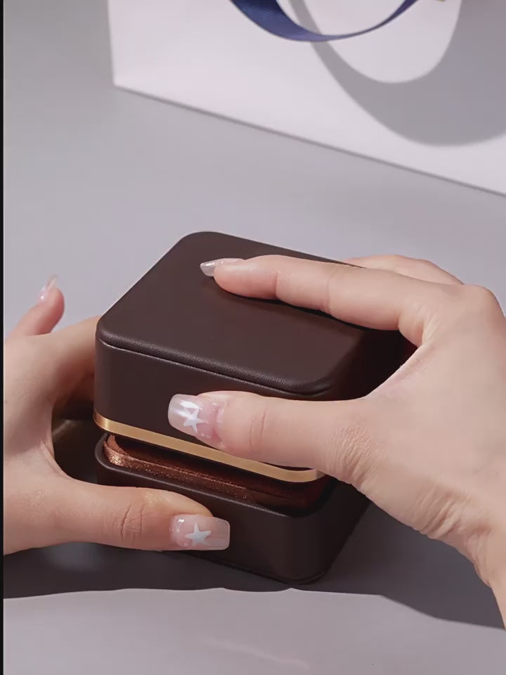 Ruby Earrings S925 Silver Drop Earrings